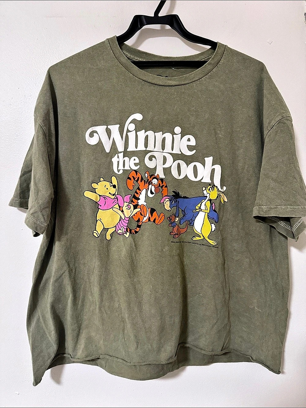 Disney Winnie the Pooh Graphic Short Sleeve Tee XL Green 100% cotton